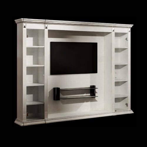 Art.2009-WS Mobile TV